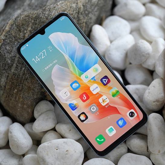 vivo S10e 5G 全网通版